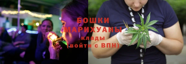 тгк Переславль-Залесский