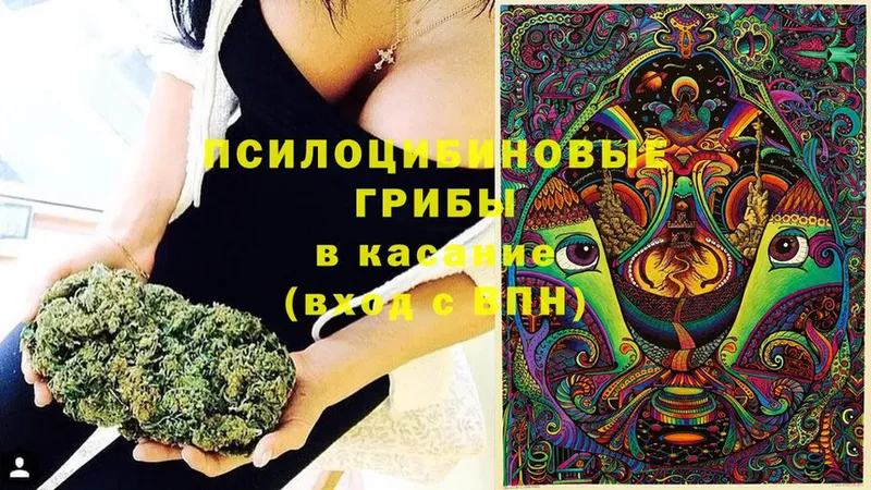 Галлюциногенные грибы Psilocybe  OMG tor  Миньяр 